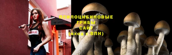 МДПВ Верхний Тагил