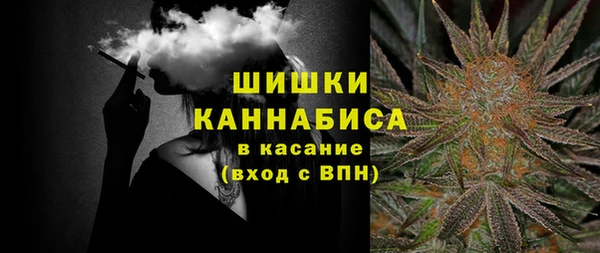 МДПВ Верхний Тагил