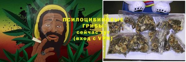 mdpv Волоколамск